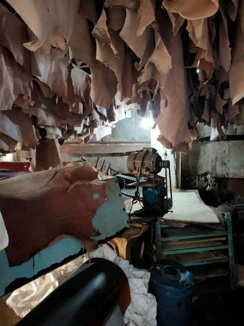 Dharavi Slum Tour - Price and value: why this $8 Mumbai slum tour can be a smart deal