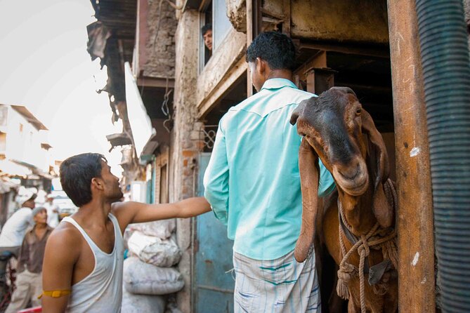 Dharavi Tour Including Car Transfer - Who should book this Dharavi tour (and who might skip it)