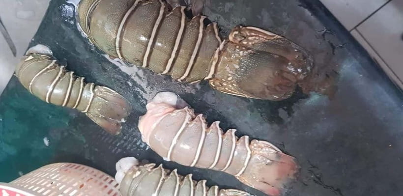 Mumbai Coastal Cooking: From Fishing Net to Flavourful Plate - The Tuk-Tuk Start and the Fishermen’s Village Area