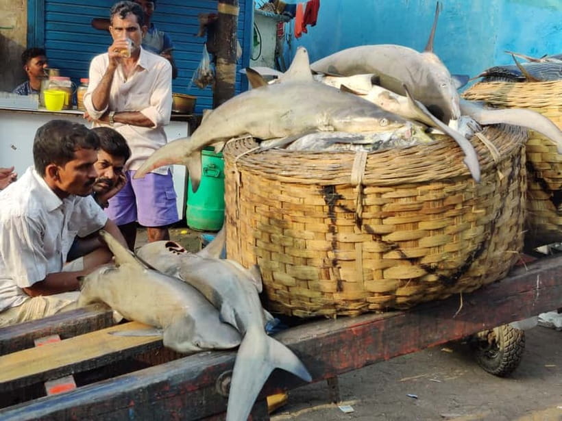 Mumbai Coastal Cooking: From Fishing Net to Flavourful Plate - Who This Tour Suits Best (and Who Might Want a Different Option)