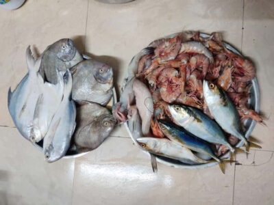 Mumbai Coastal Cooking: From Fishing Net to Flavourful Plate - What to Wear, Eat Before, and Bring (Real-World Tips)