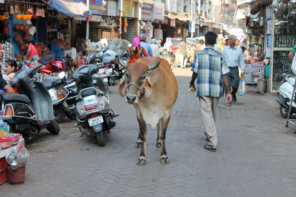 Mumbai Hidden Gems : Early Morning Tour with Expert Guide - Guide-led value: what you gain with a dedicated English expert