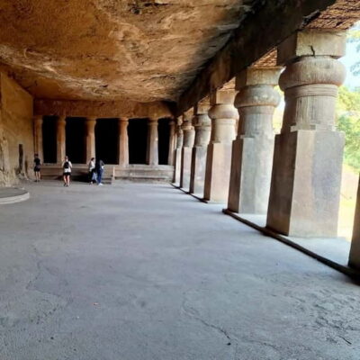 Mumbai: Sanjay Gandhi National Park, Pagoda, & Lion Safari - Sanjay Gandhi National Park: Forest Roads, Wildlife, and Safari Viewing