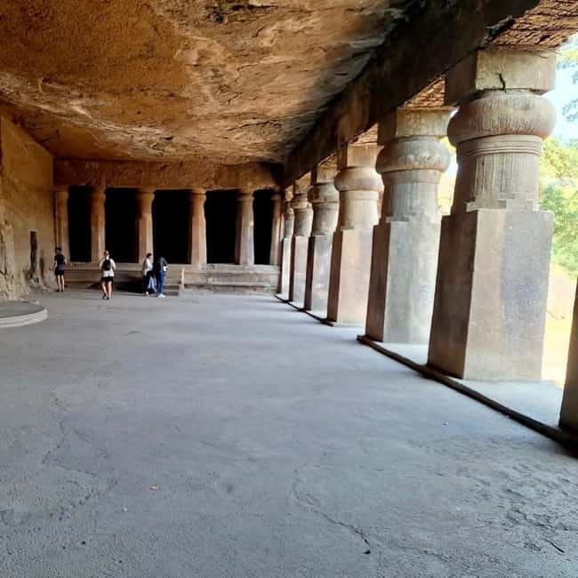 Mumbai: Sanjay Gandhi National Park, Pagoda, & Lion Safari - Sanjay Gandhi National Park: Forest Roads, Wildlife, and Safari Viewing