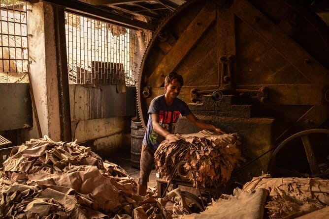 Private Walking Tour in Dharavi Slums - Stop 1: Dharavi in 2 to 3 Hours—Homes, History, and Small Industry
