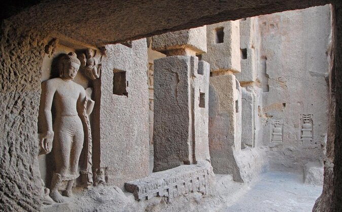 Sanjay Gandhi National Park and Kanheri Caves Day Private Tour - Key things I’d watch for before you go