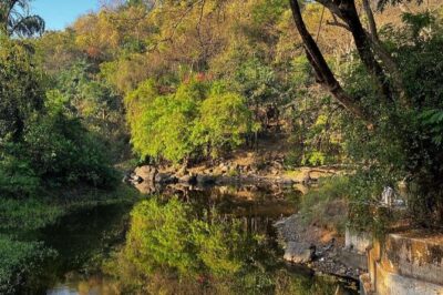 Sanjay Gandhi National Park and Kanheri Caves Day Private Tour - Sanjay Gandhi National Park: Wildlife Chances Plus Real Biodiversity