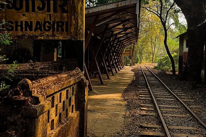 Sanjay Gandhi National Park and Kanheri Caves Day Private Tour - Price and Value: What $90 Gets You (And Why It Can Be Fair)