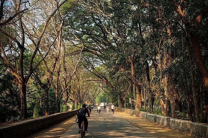 Sanjay Gandhi National Park and Kanheri Caves Day Private Tour - When to Go and What to Wear for Park + Caves